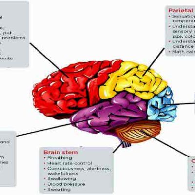 Can Hypertension Cause Your Brain To Malfunction?